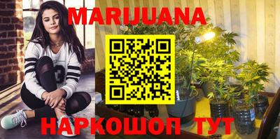 гашик Славгород