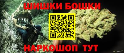 гашик Славгород