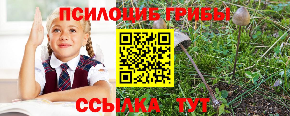 Саяногорск  хочу   Вход с VPN  Псилоцибиновые грибы прущие грибы 